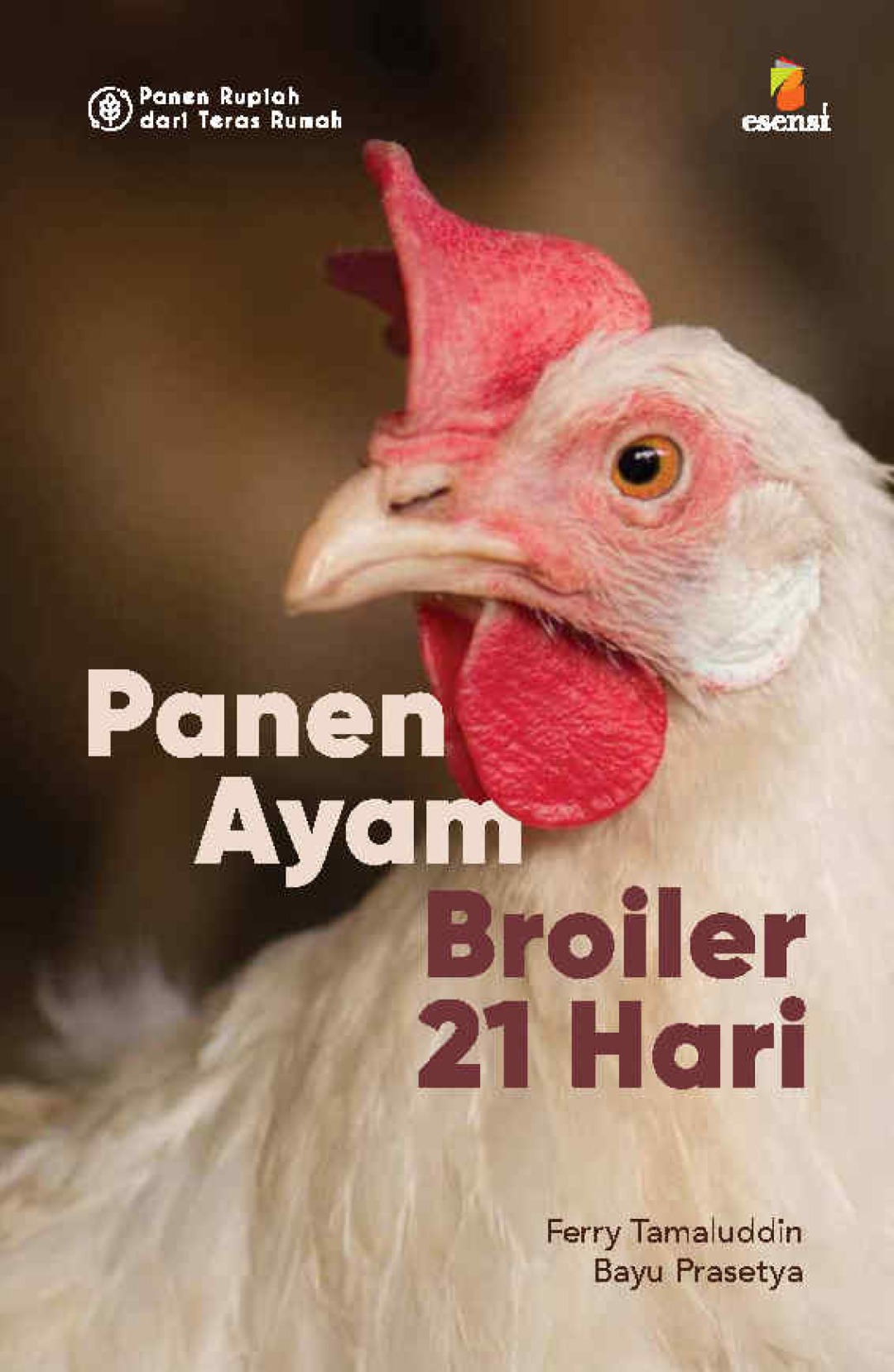 Seri Panen Rupiah dari Teras Rumah: Panen Ayam Broiler 21 Hari