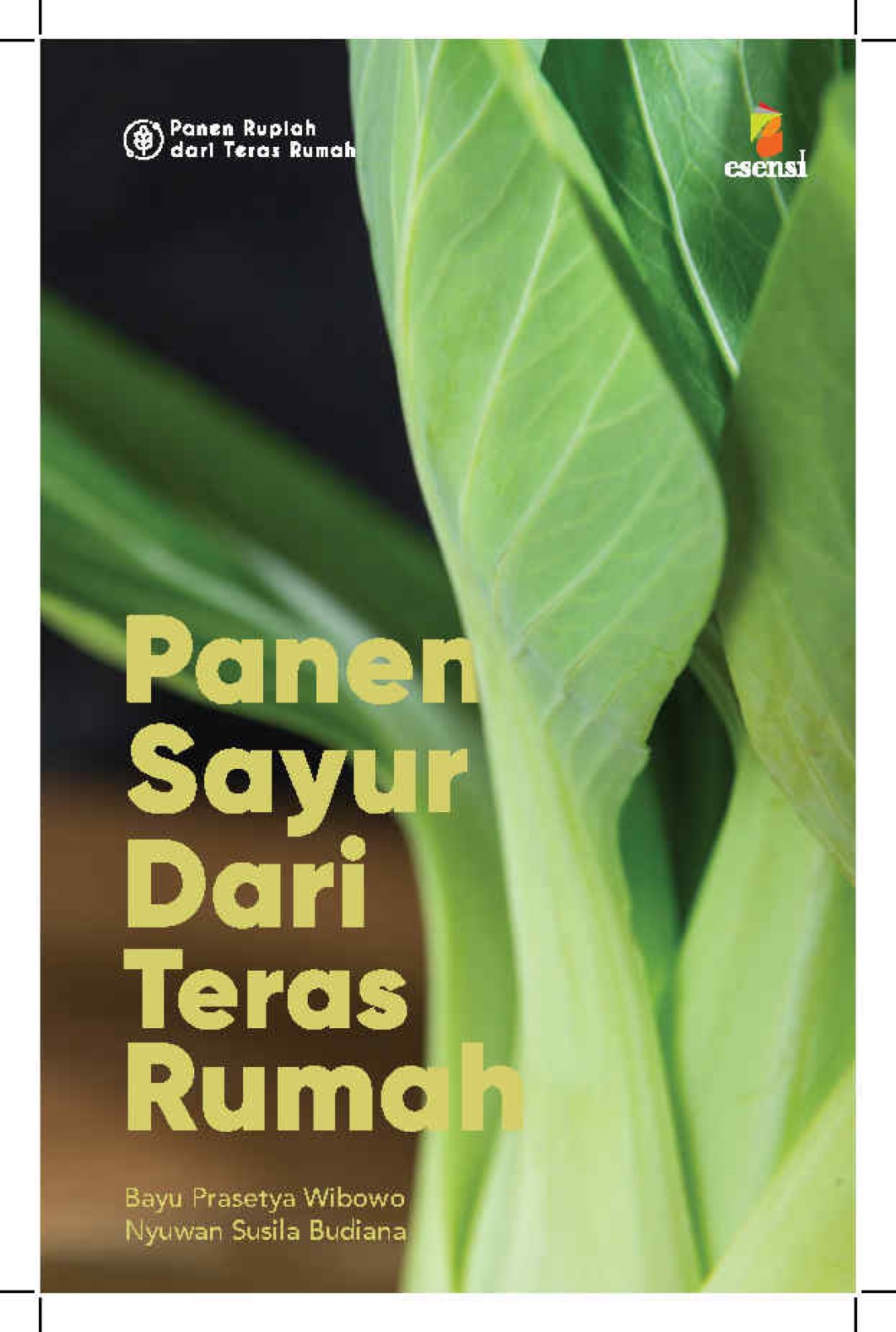 Seri Panen Rupiah dari Teras Rumah: Panen Sayur dari Teras Rumah