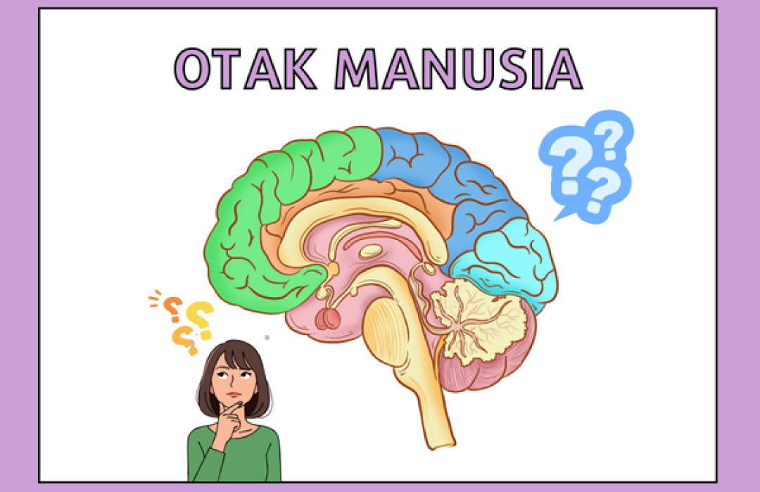 Tahukah Kamu? Otak Perlu Adaptasi Setelah Liburan Panjang